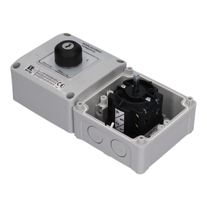 SK10G OB12 Cam switch in housing - Product picture