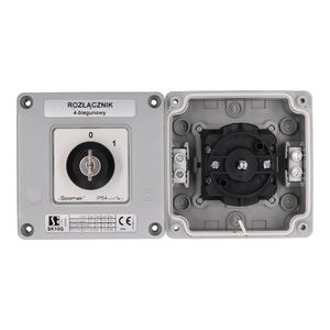 SK20G OB12 Cam switch in housing - Product picture