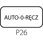 Tabliczka ST22-1901 dla przycisków pokrętnych piórkiem lub kluczem - Wykonanie