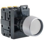 Complete illuminated flush pushbutton KL/AKL - Assembly