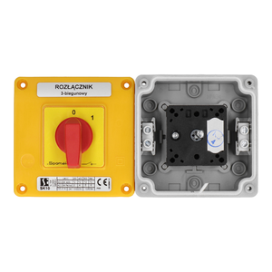 SK10 OB11 Cam switches in enclosure - Product picture