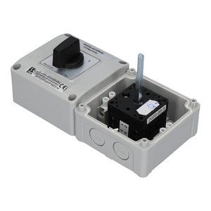 SK10 OB12 Cam switches in enclosure - Product picture