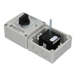 SK16 OB12L Cam switches in enclosure with a lamp - Product picture