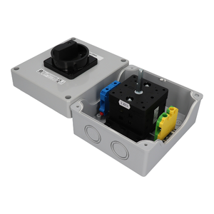 SK100 OB17 Cam switches in enclosure - Product picture