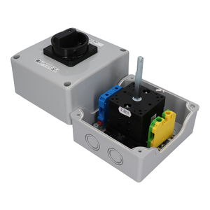 SK63 OB16 Cam switches in enclosure - Product picture