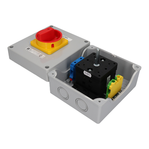 SK100 OB17 Cam switches in enclosure - Product picture