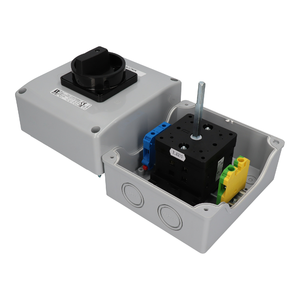 SK100 OB18 Cam switches in enclosure - Product picture