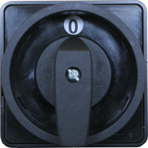  Front III SK100-1410 for assemblies D...   (padlockable,  mounted directly on the door  with a mechanical lock)  - Product picture
