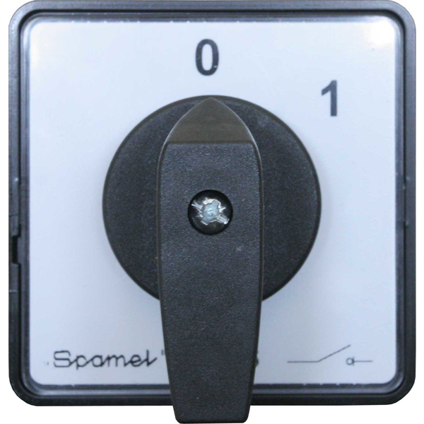 Czoło I SK63-1406 dla wykonań P... i BS…