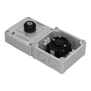 SK16G OB11 Cam switch in housing - Product picture