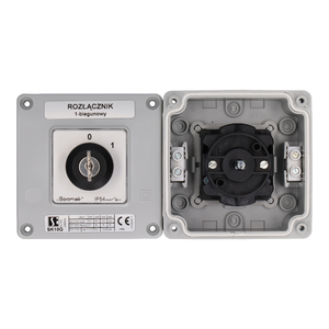 SK10G OB11 Cam switch in housing - Product picture