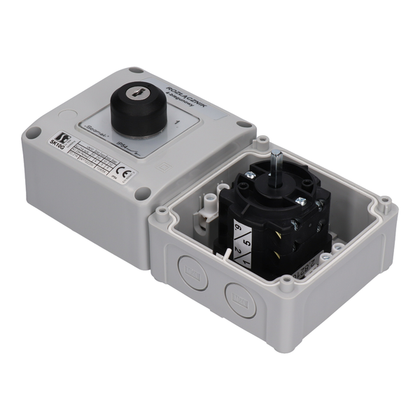 SK16G OB12 Cam switch in housing - Product picture