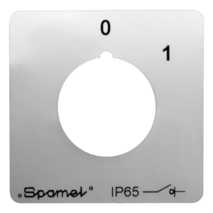 SK20G SA22 Cam switch, panel-mounted in ø22 opening, key-operated - Product picture